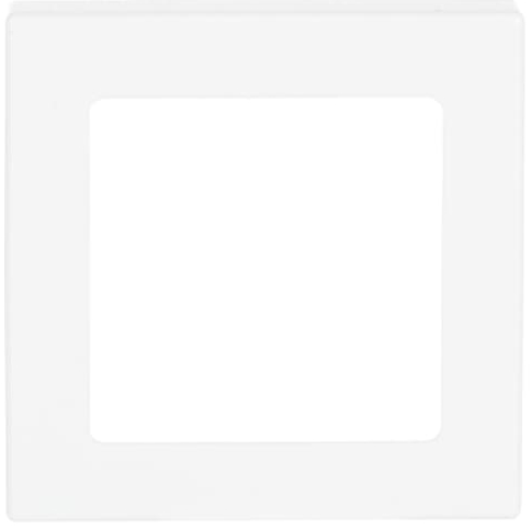 Busch-Jaeger 1716-84 Zentralscheibe dav/sws für UP Infolicht