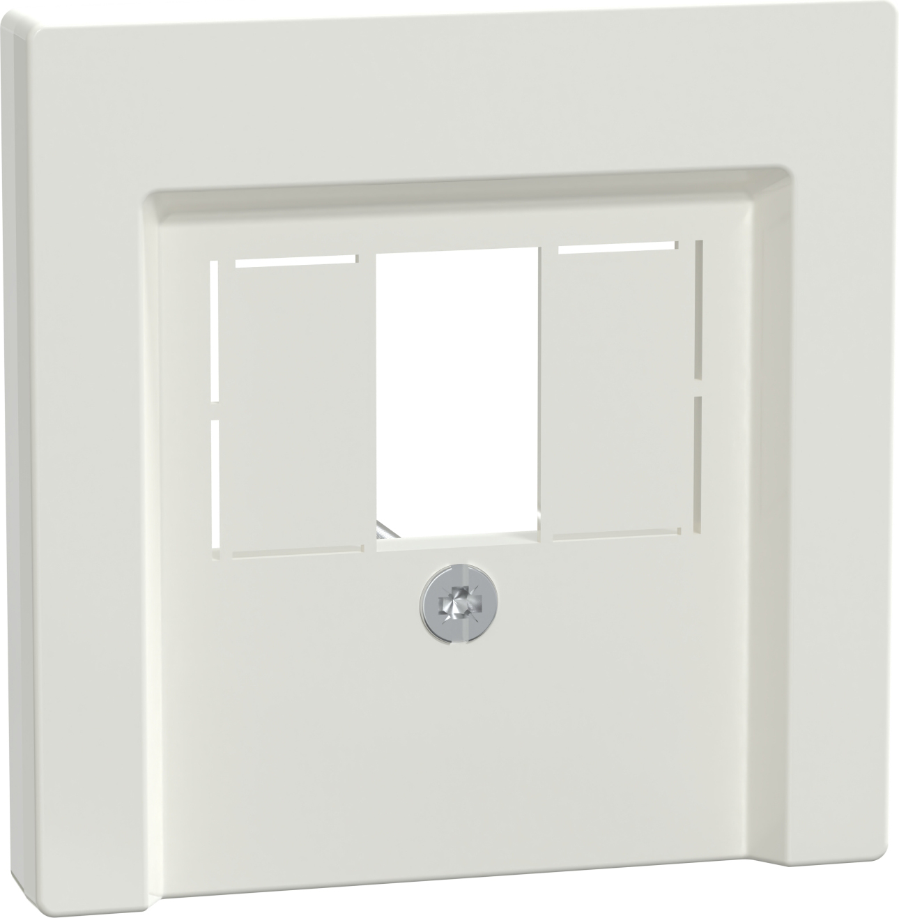 Merten 296019 Zentralplatte pws/gl für Anschlussdose