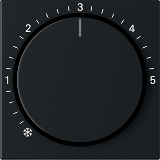 Gira 2706005 Abdeckung Schwarz