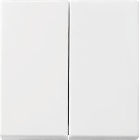 Busch-Jaeger 2505-914 Wippe aws Busch-balance SI