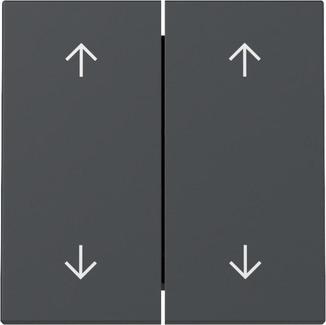 Gira 329728 Wippe 2f Pfeile Anthrazit