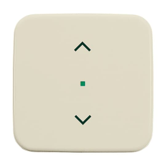 Busch-Jaeger 6232-10-212 Wippe 1-fach, Symbol Licht weiß