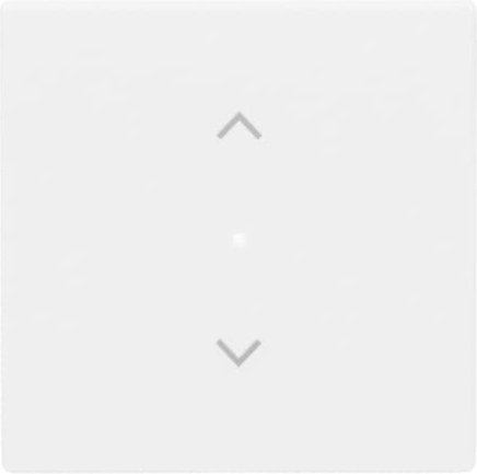 Busch-Jaeger 6232-10-84 Wippe 1-f Symbol Jalousie studioweiß