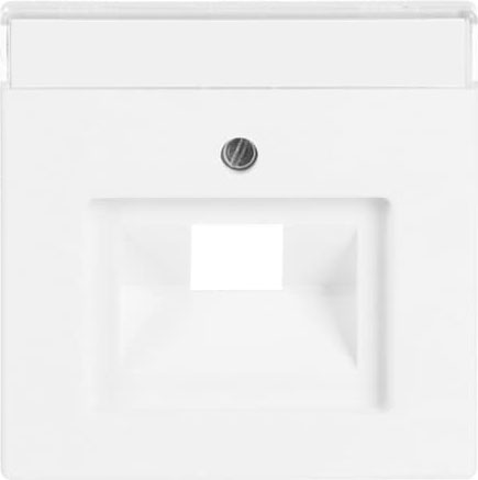 Busch-Jaeger 1803-884 Zentralscheibe stws mt f.UAE-Anschlussdo.1f