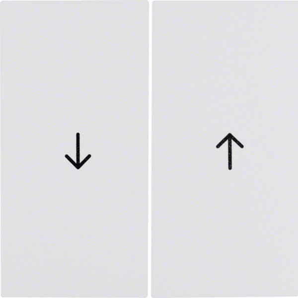 Berker 16258989 Wippe pws/gl Symbol Pfeil