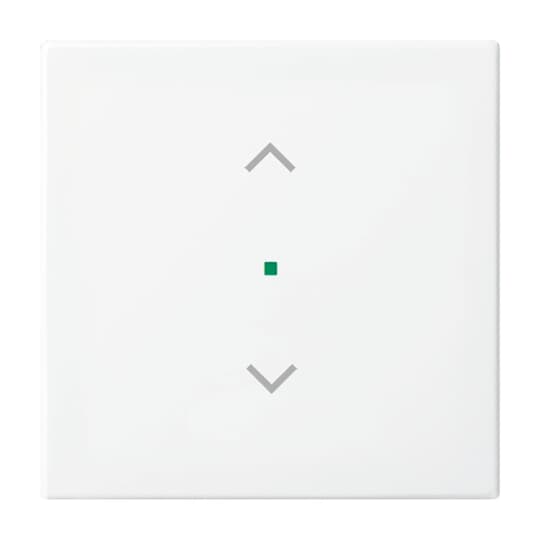 Busch-Jaeger 6232-10-914 Wippe aws Busch-balance SI