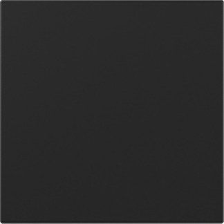 Gira 3496005 Wippe gerade Schwarz m