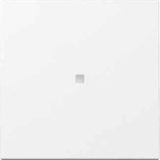 Gira 329003 Wippe Kontrollf. Reinweiß