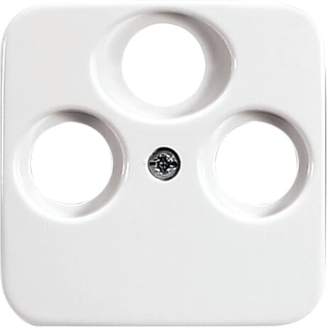 Busch-Jaeger 1743-03-214 Zentralscheibe aws m.3Anschl.Rad.TV/SAT