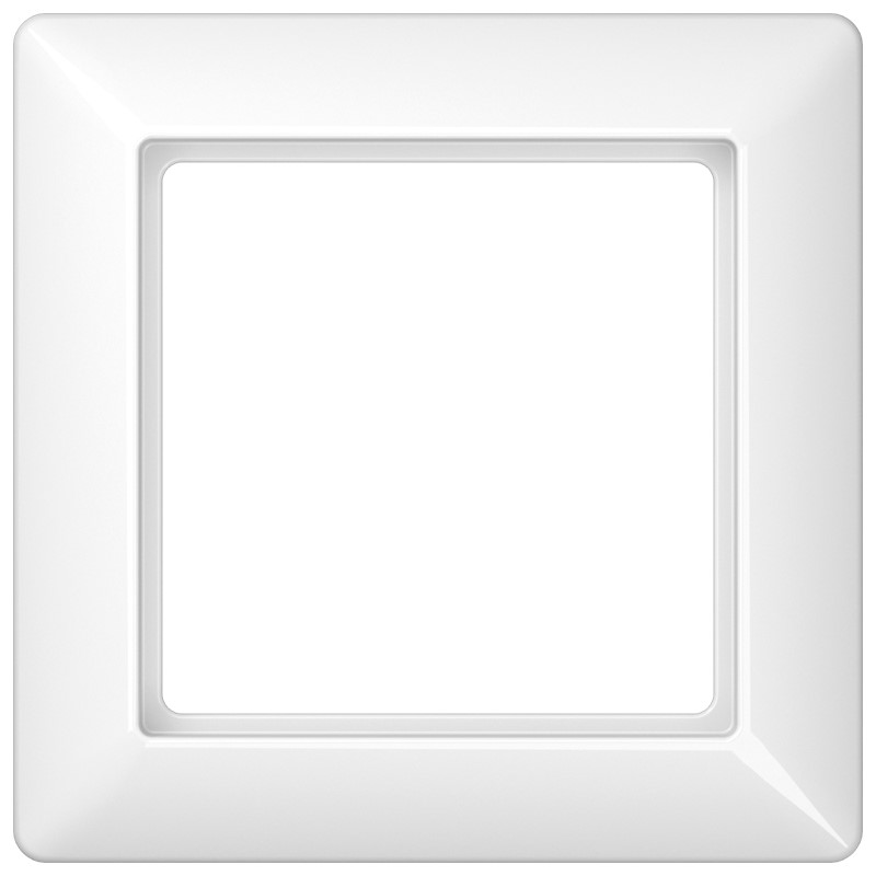 Jung AS 581 WW Rahmen 1-fach aws waage/senkrecht