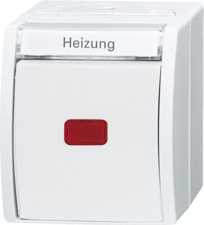 Busch-Jaeger 2601/2 SKWNH-54 Kontrollausschalter