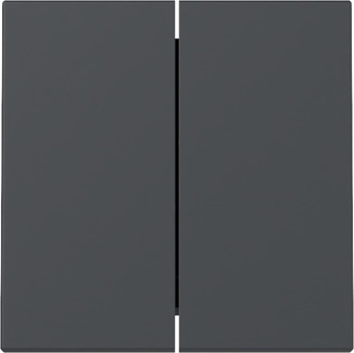 Gira 329528 Wippe 2f Anthrazit