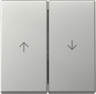 Gira 3294600 Wippe 2f Pfeil Edelstahl