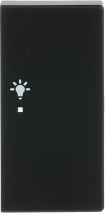 Busch-Jaeger 6231-22-885 Wippe sw mt future linear