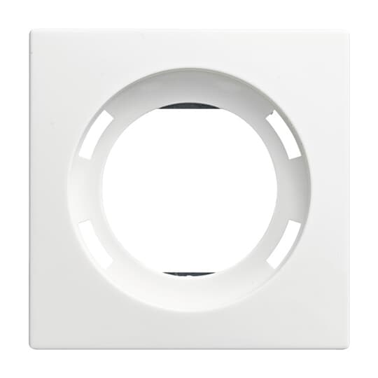 Busch-Jaeger 1756-914 Zentralscheibe alpinws f.LED-Licht