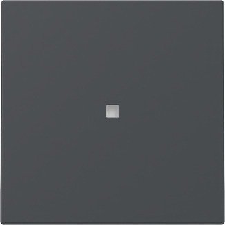 Gira 329028 Wippe Kontrollf. Anthrazit