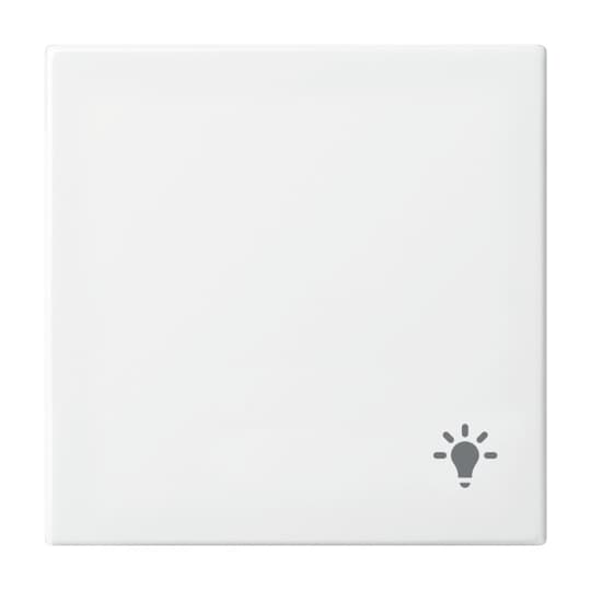 Busch-Jaeger 2520 LI-914 Wippe mit Aufdruck alpinweiß