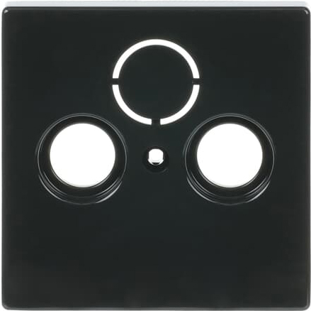 Busch-Jaeger 1743-81 Zentralscheibe anth f.Antennendose 2Loch