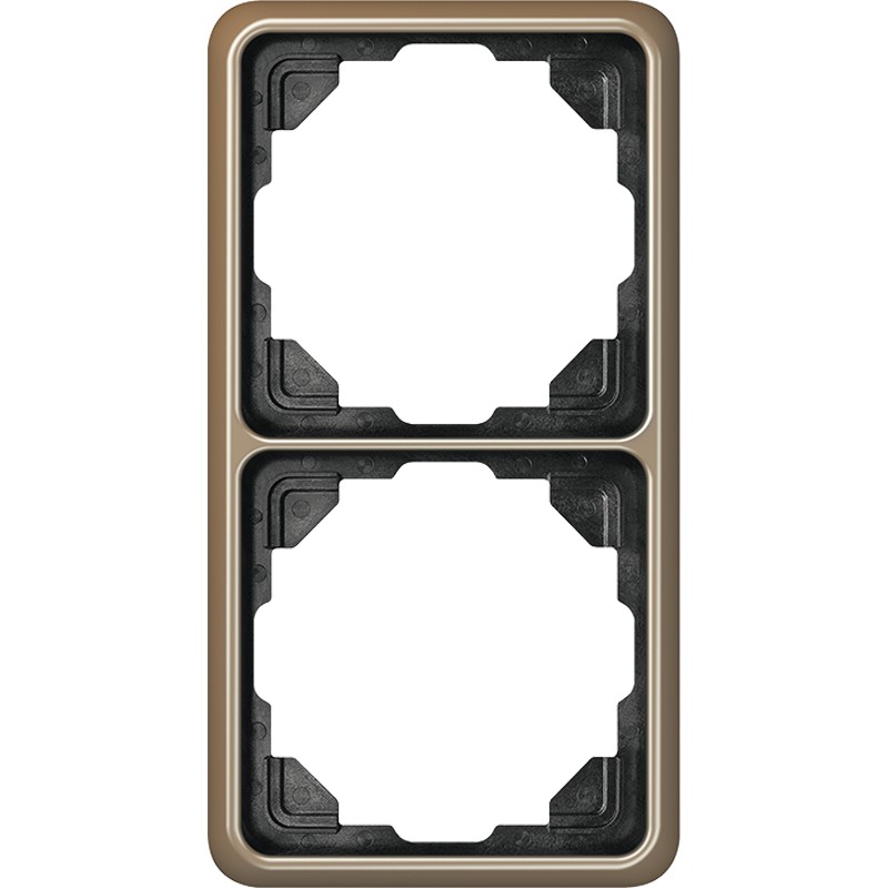 Jung CD 582 GB Rahmen 2-fach gold brz waage/senkrecht