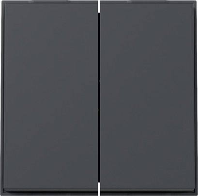 Gira 329567 Wippe 2f (WG UP) Anthrazit