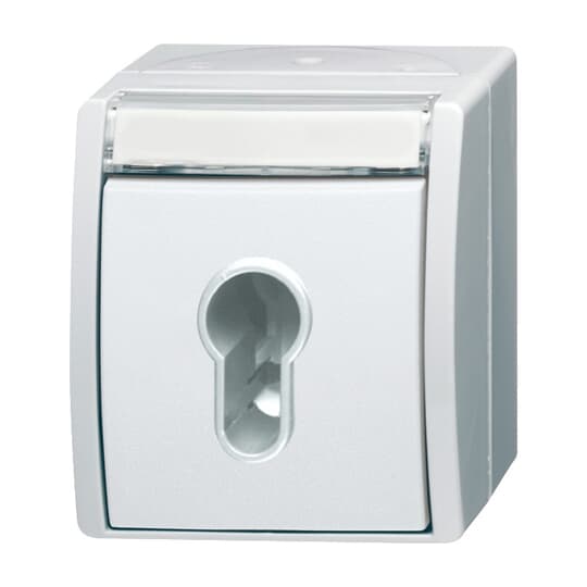 Busch-Jaeger 2733 SLW-54 Schlüsselschalter