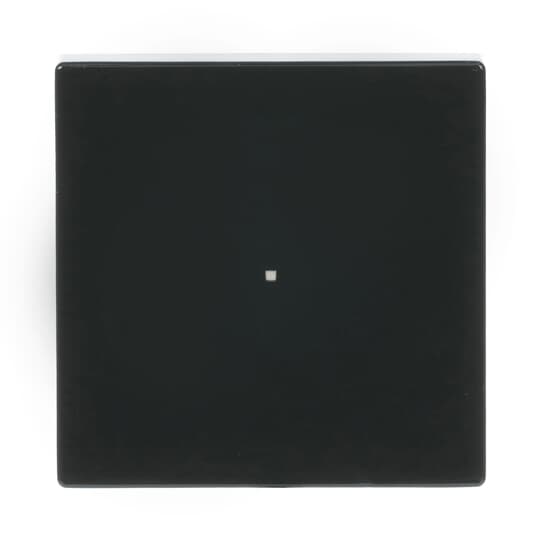 Busch-Jaeger 6230-10-81 Wippe 1-fach anthrazit