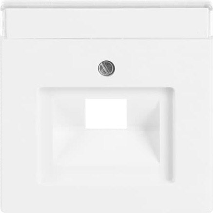 Busch-Jaeger 1803-84 Zentralscheibe dav/sws f.UAE-Anschlussdo.1f