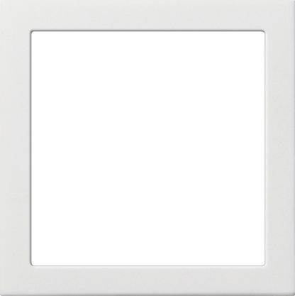 Gira 0289112 Kombi-Zwischenrahmen 1f. rws-gl