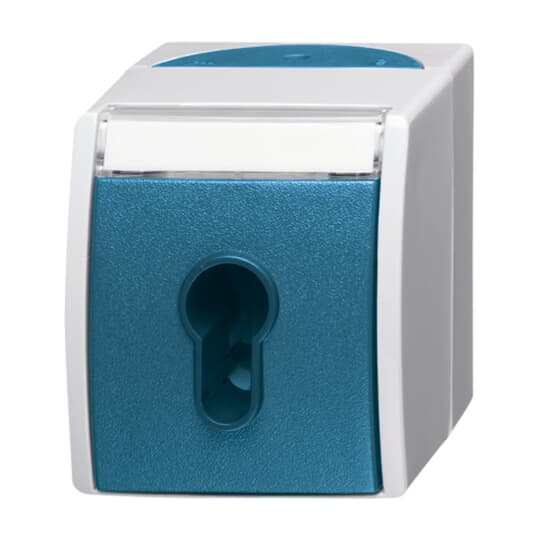 Busch-Jaeger 2733 SLW-53 Schlüsselschalter AP