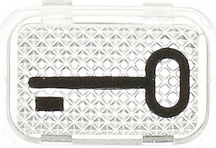 Busch-Jaeger 2145 TR Tastersymbol Schlüssel