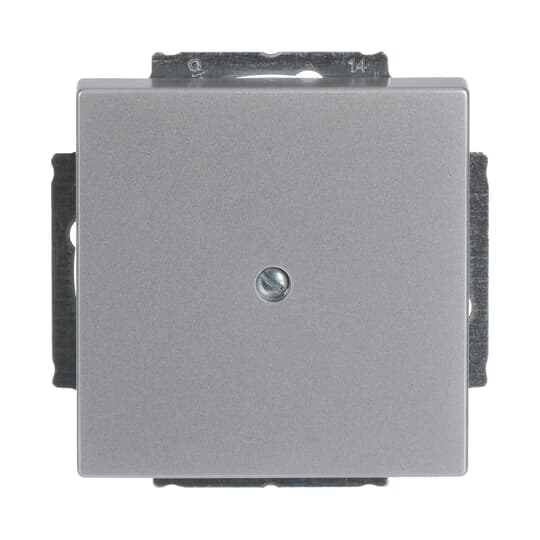 Busch-Jaeger 1742-83 Zentralscheibe alusi Blindabd,m.Tragring