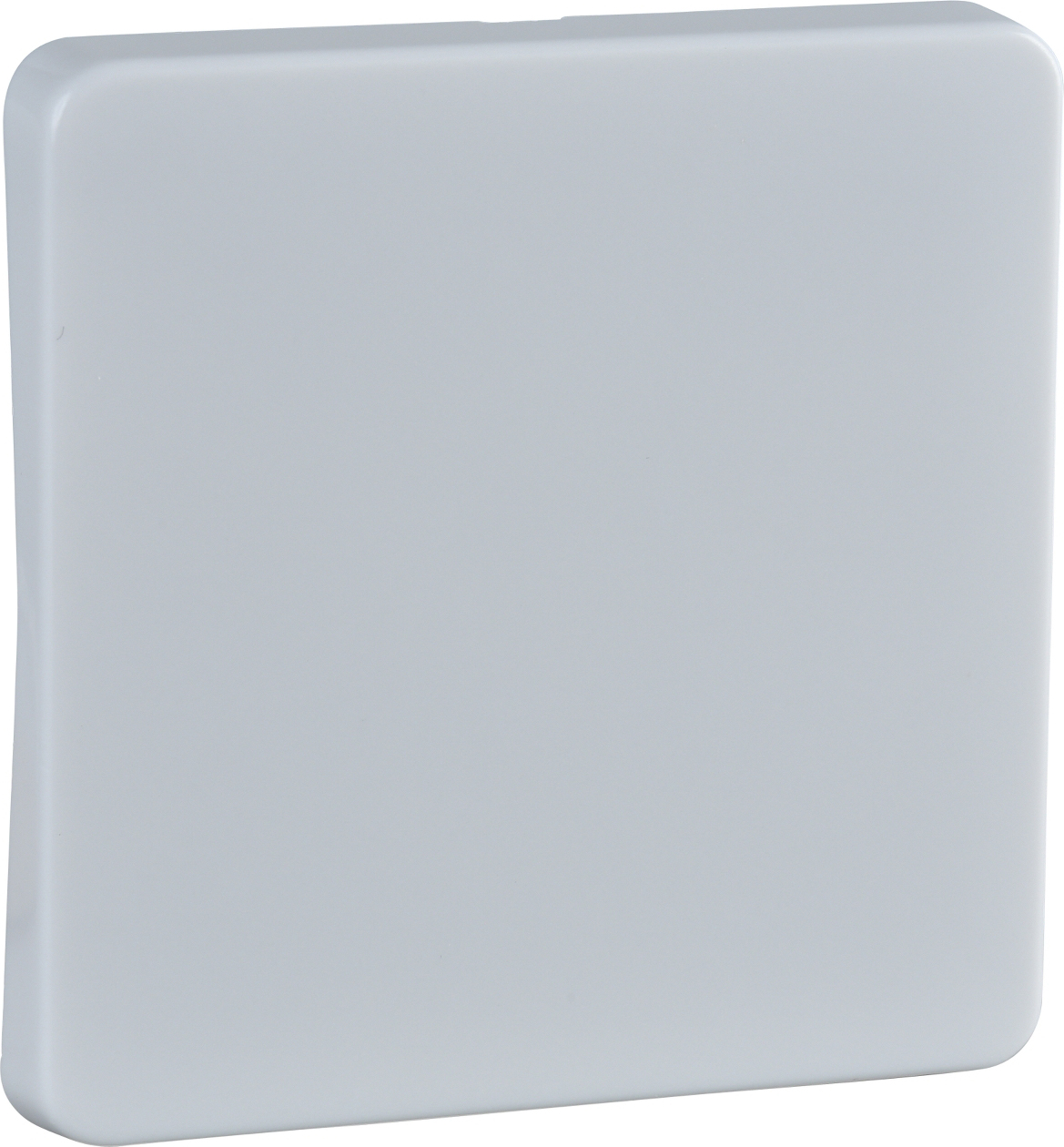 Elso 213604 Wippe rw f. Taster/Schalter