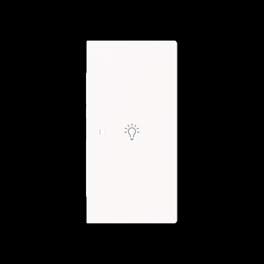 Busch-Jaeger 6231-22-44M Wippe 2-fach rechts m.Sym. Licht