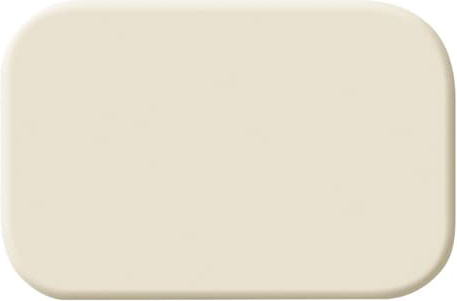 Busch-Jaeger 2525 N Tastersymbol neutral