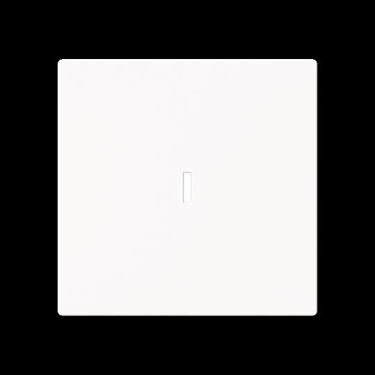 Busch-Jaeger 1789 N-44M Wippe m. Beschriftungsfeld