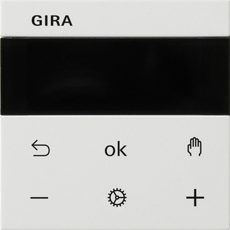 Gira 539327 RTR Display rws