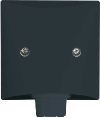 Busch-Jaeger 2133-35 Zentralscheibe anth für Leitungsauslass