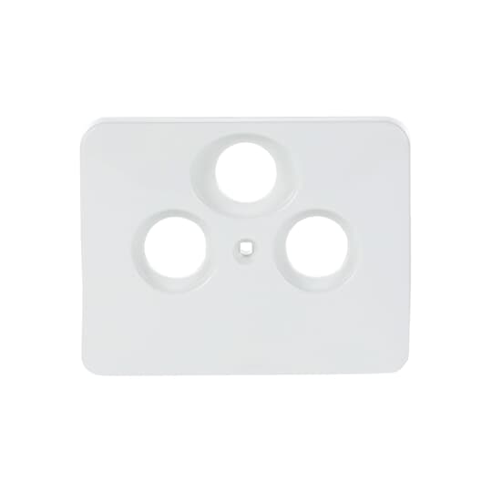 Busch-Jaeger 1743-03-24G Zentralscheibe sws m.3Anschl.Rad.TV/SAT