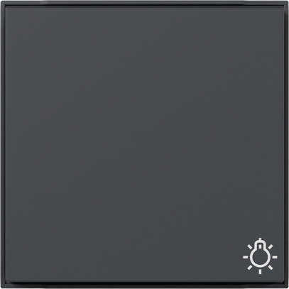 Gira 328567 Wippe Symb. Licht (WG UP) Anthrazit