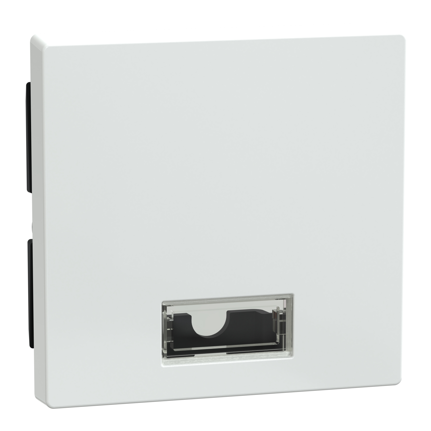 Merten 432825 Wippe Symbol Fenster awsgl rechteckig
