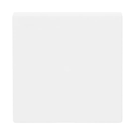 Busch-Jaeger 6230-10-884 Wippe studiows mt future linear