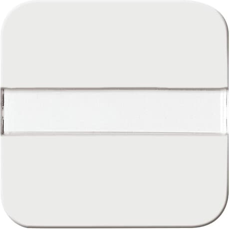 Busch-Jaeger 2510 NLI-214 Wippe aws Lichtl.,m.Beschrift.