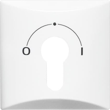 Busch-Jaeger 2155 SLPZ-34 Zentralscheibe alpinws f.Schlüsselschalter