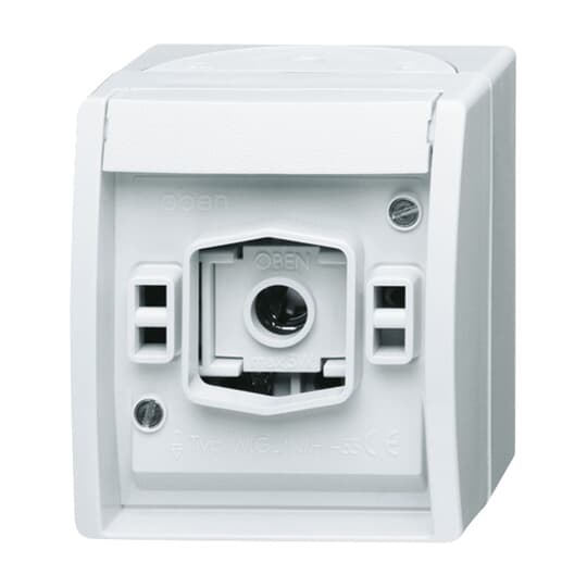 Busch-Jaeger 2661 W-54 Lichtsignal