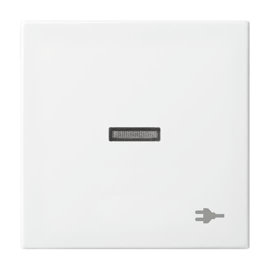 Busch-Jaeger 1789 ST-914 Wippe mit Aufdruck alpinweiß