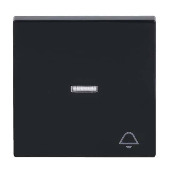 Busch-Jaeger 1789 KI-81 Wippe anth mit Symbol Klingel