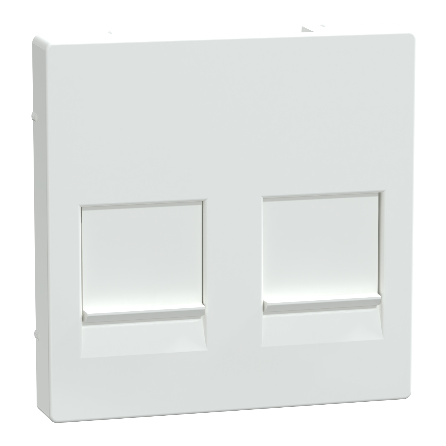 Merten MEG4562-0325 Zentralplatte 2f.akws/gl für Modular-Jack