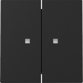 Gira 3631005 Wippe 2f Kontrollf. Schwarz m