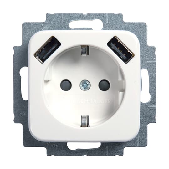 Busch-Jaeger 20 EUCB2USB-214 SCHUKO-2x USB Steckdose
