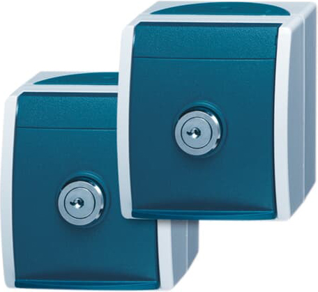 Busch-Jaeger 20/20 EWSL-53 Schuko-Steckdose 2xAP 2 gleiche Schlösser